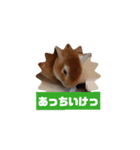 ジジの日々 JiJisdaily（個別スタンプ：3）