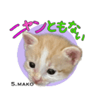 8匹のこねこ（個別スタンプ：14）