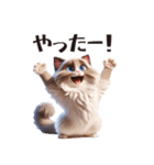 3Dアート ねこフレンズ ラグドール（個別スタンプ：17）