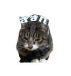 ケチャとミリンとクロズ（個別スタンプ：14）