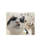 ケチャとミリンとクロズ（個別スタンプ：30）