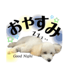 coro♡coro（個別スタンプ：2）