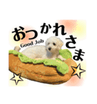coro♡coro（個別スタンプ：3）