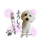 coro♡coro（個別スタンプ：4）