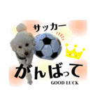 coro♡coro（個別スタンプ：6）