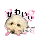 coro♡coro（個別スタンプ：22）