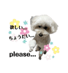 coro♡coro（個別スタンプ：26）
