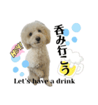 coro♡coro（個別スタンプ：27）