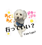 coro♡coro（個別スタンプ：36）