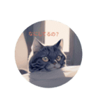 ネコの挨拶 Cat Greeting Stamps（個別スタンプ：2）