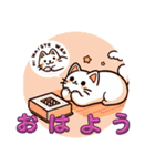 チャーミングネコねこ（個別スタンプ：1）