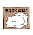 ねこちゃんぬ3（敬語編）（個別スタンプ：19）