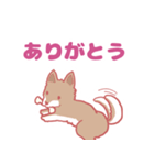 ゆるっとかわいい犬の日常（個別スタンプ：1）