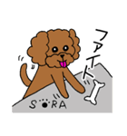 トイプードル⭐️SORAのきもち（個別スタンプ：28）