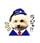 R看板犬スタンプ（個別スタンプ：1）