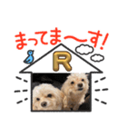 R看板犬スタンプ（個別スタンプ：5）