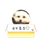 R看板犬スタンプ（個別スタンプ：7）