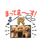 R看板犬スタンプ（個別スタンプ：10）