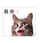 ⚫AI猫ミーム 24匹セット【セリフ変更可能】（個別スタンプ：5）