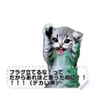 ⚫AI猫ミーム 24匹セット【セリフ変更可能】（個別スタンプ：7）