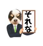 犬〜ア二ジジ（個別スタンプ：2）