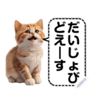 リアル猫のメッセージスタンプ02昭和（個別スタンプ：1）