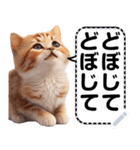 リアル猫のメッセージスタンプ02昭和（個別スタンプ：3）