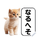 リアル猫のメッセージスタンプ02昭和（個別スタンプ：4）