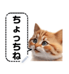 リアル猫のメッセージスタンプ02昭和（個別スタンプ：6）