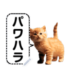 リアル猫のメッセージスタンプ02昭和（個別スタンプ：14）