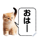 リアル猫のメッセージスタンプ02昭和（個別スタンプ：18）