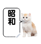リアル猫のメッセージスタンプ02昭和（個別スタンプ：20）