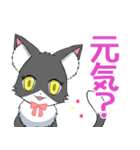 おしゃれにゃんこ2【大好きなでか文字】（個別スタンプ：13）