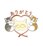 猫スタンプニャン（個別スタンプ：19）