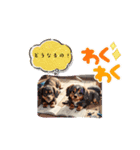 とりま、犬❣️と思ったら動物色々wNo．②（個別スタンプ：2）