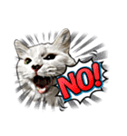 猫拾堂アソート（個別スタンプ：5）