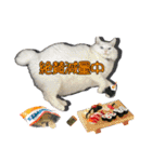 猫拾堂アソート（個別スタンプ：24）