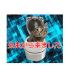 猫拾堂アソート（個別スタンプ：26）