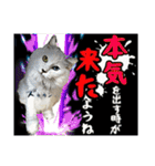 猫拾堂アソート（個別スタンプ：28）