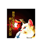 猫拾堂アソート（個別スタンプ：29）