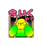 インコスキー（個別スタンプ：5）