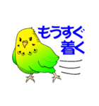 インコスキー（個別スタンプ：7）