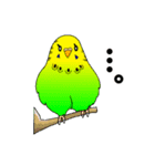 インコスキー（個別スタンプ：16）