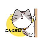 キジトラねこちゃんスタンプ（個別スタンプ：2）