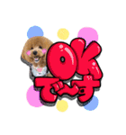 日常会話（gengen）（個別スタンプ：1）
