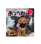 日常会話（gengen）（個別スタンプ：2）