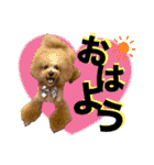 日常会話（gengen）（個別スタンプ：5）
