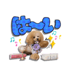日常会話（gengen）（個別スタンプ：6）