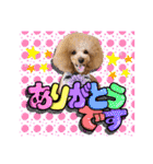 日常会話（gengen）（個別スタンプ：7）