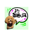 日常会話（gengen）（個別スタンプ：8）